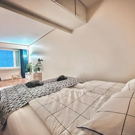 Apartment Northern Seasons -